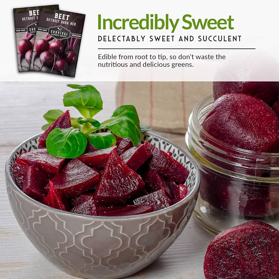 野菜 troubldio Amazon.com : Survival Garden Seeds - Detroit Dark Red Beet